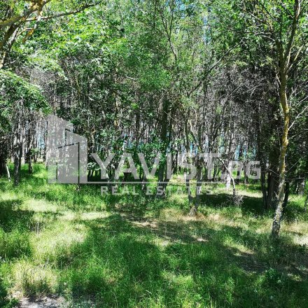 property picture